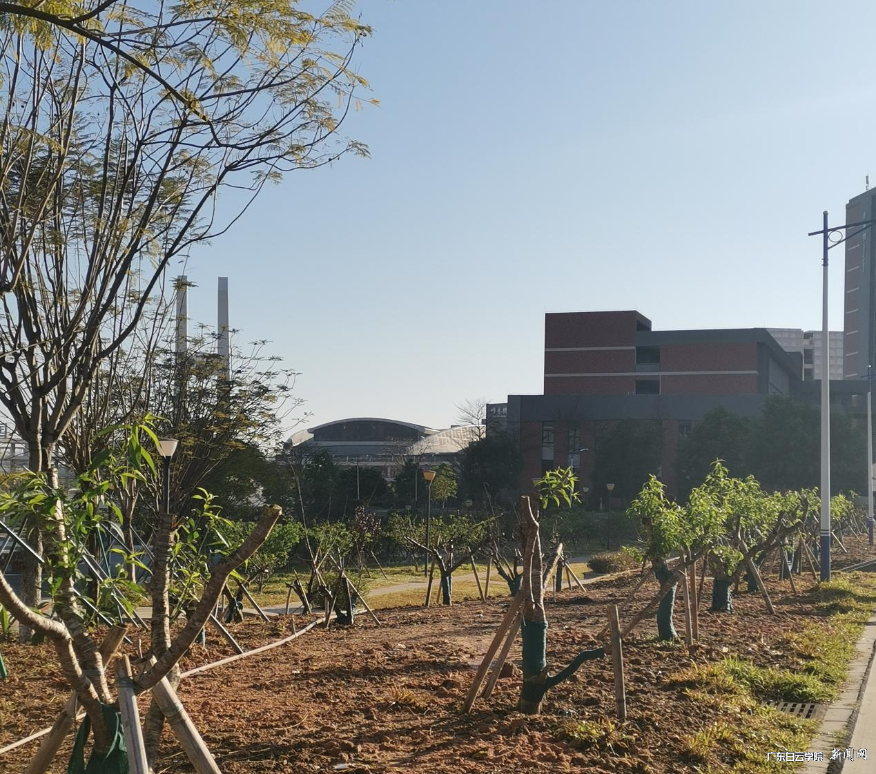 图片 3.png 图片 3.png