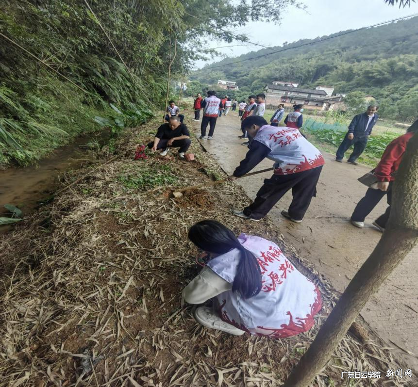 图片 1.png 图片 1.png