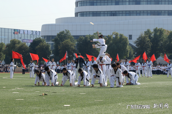 图片 20.png