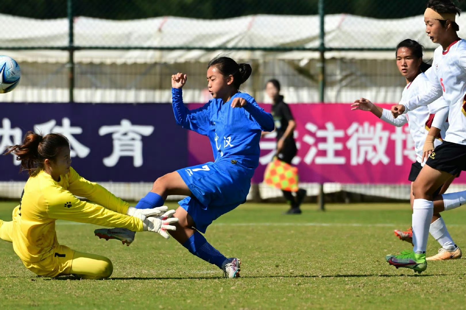 20231220214518466.jpg 20231220214518466.jpg