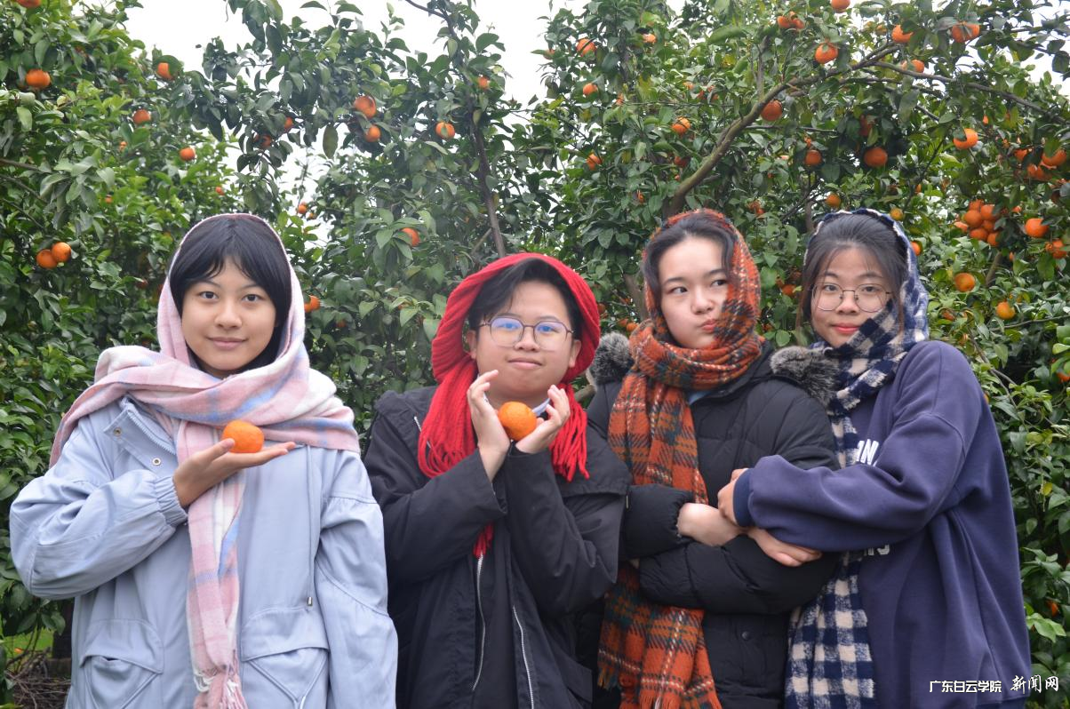 图片 3.png 图片 3.png