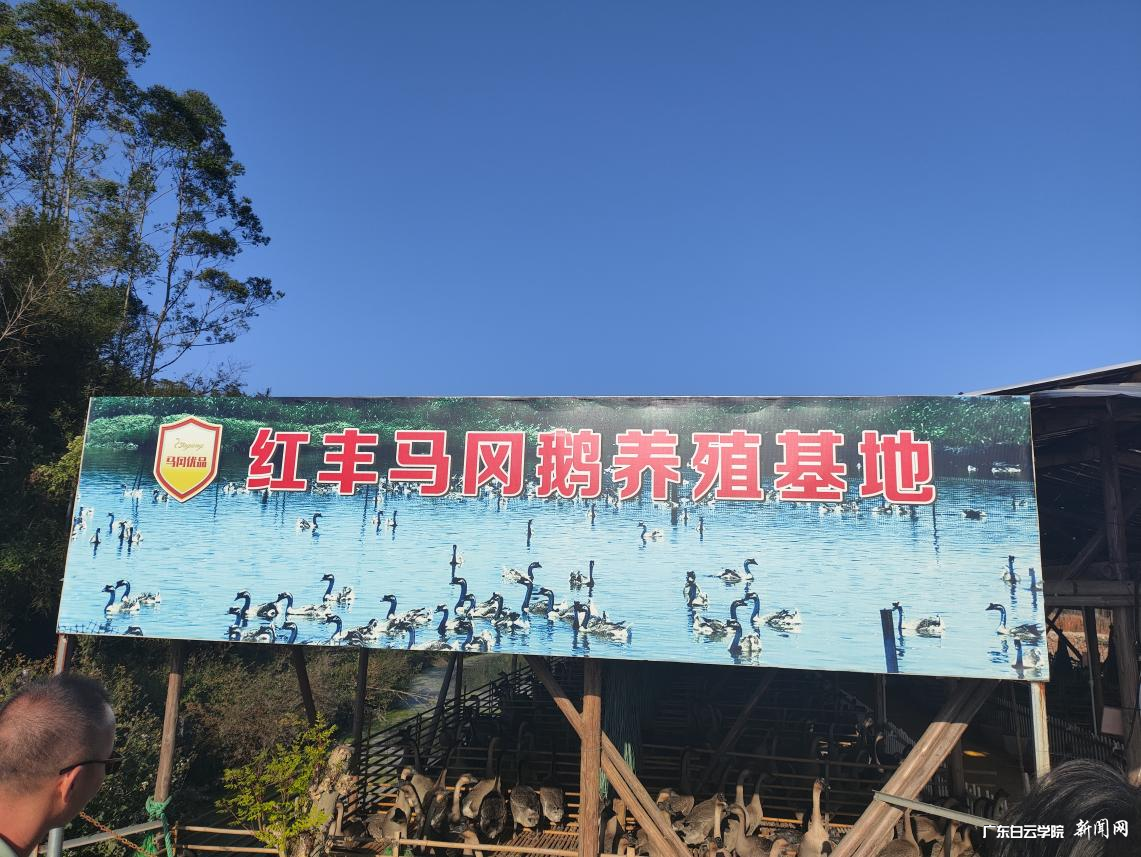 图片 7.png 图片 7.png