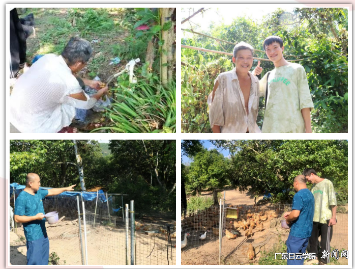 团队成员跟随村民体验农村乡村劳作生活.png 团队成员跟随村民体验农村乡村劳作生活.png