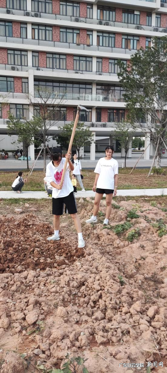 图片 2.png 图片 2.png